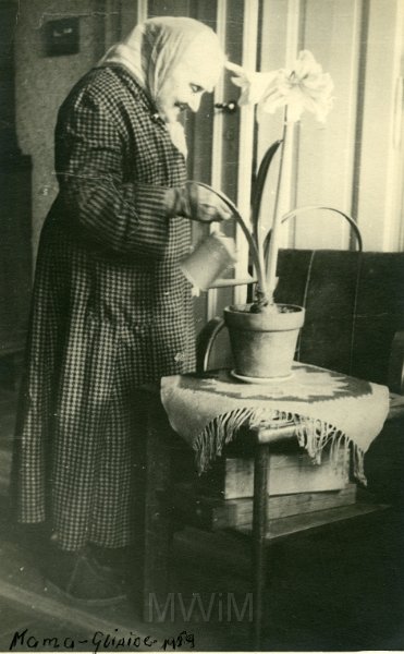 KKE 4997.jpg - Fot. Portret. Bronisława Strumiłło (z domu Pilecka) – mama Jadwigi Rapackiej (z domu Strumiłło), Gliwice, 1959 r.
